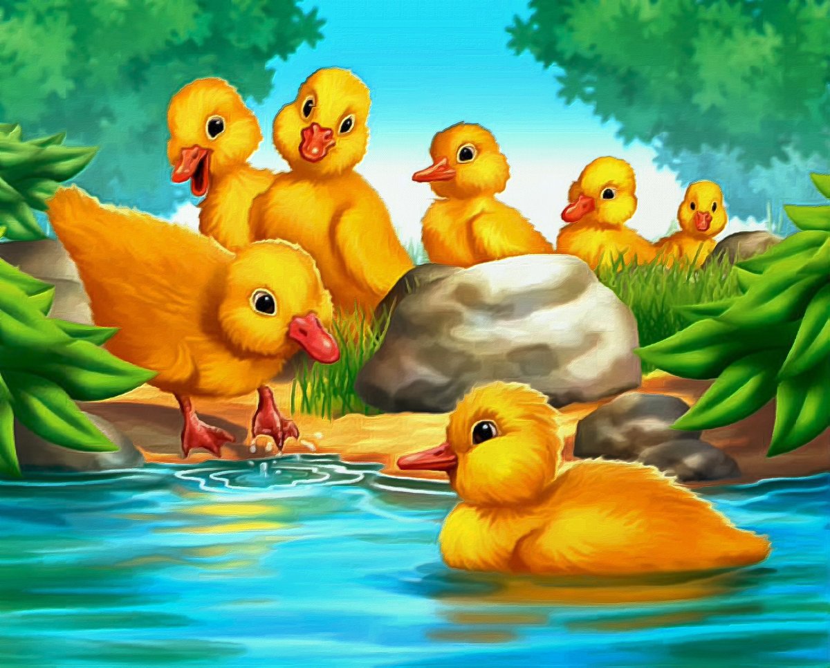Утята детский сад