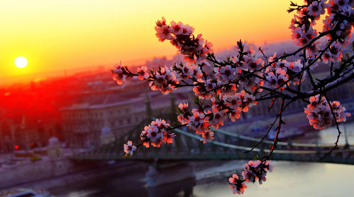 Весенний закат в городе