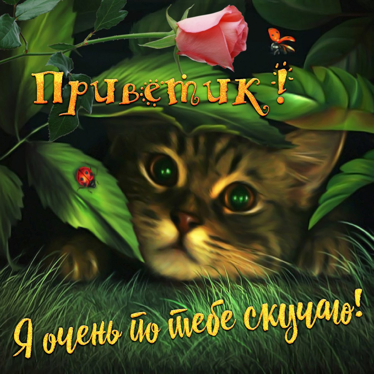 Открытка привет мужчине