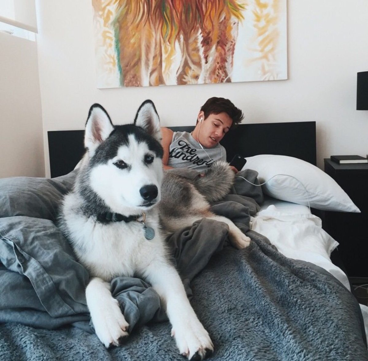 Кэмерон Даллас с собакой