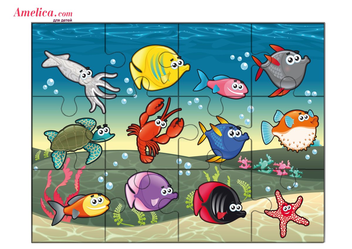 Рыба для презентации без фона