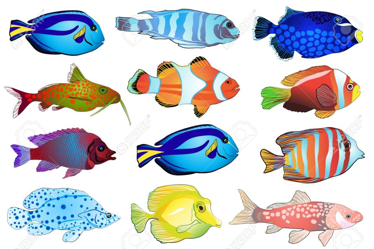 Контуры рыб Немо