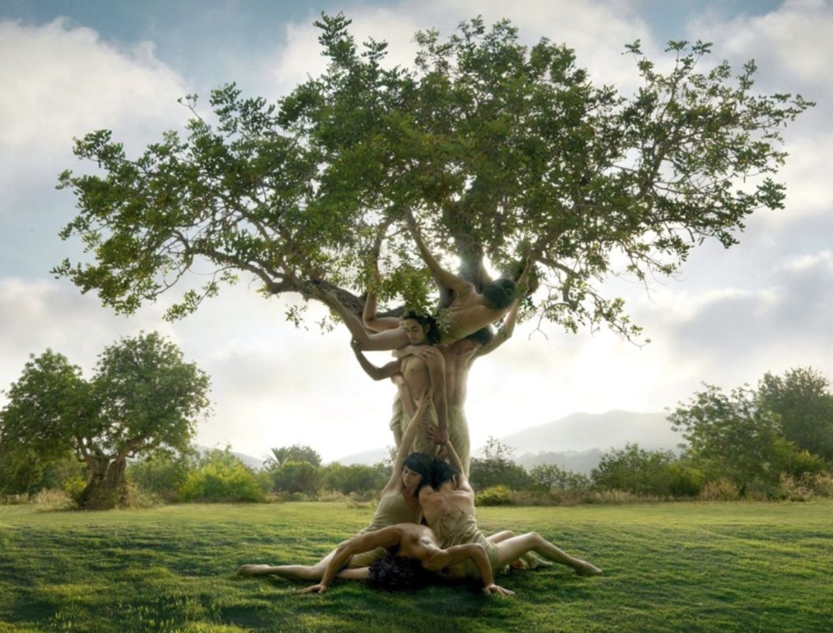 Никен Аниндиты