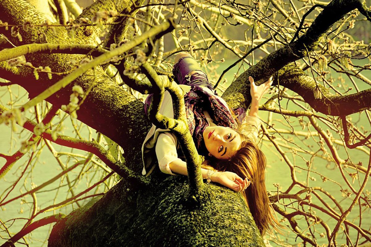 Сказочное дерево