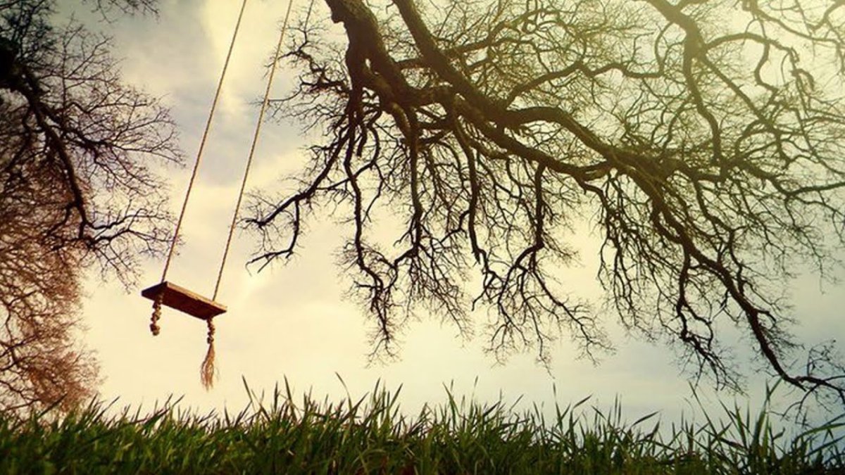 Красивые иллюстрации к книгам