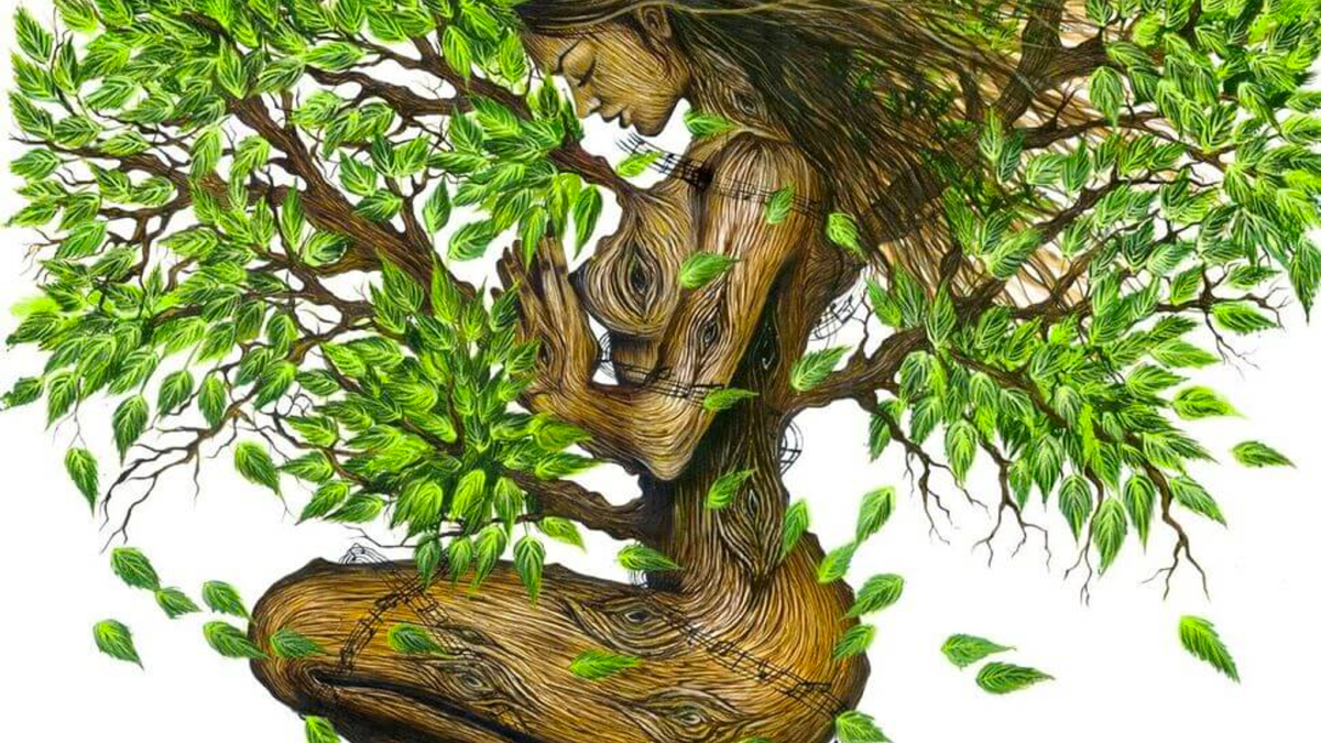 Шежере родословная