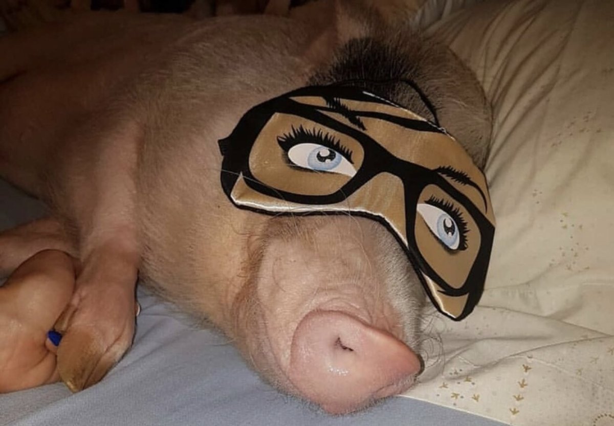 Про четверг высказывания