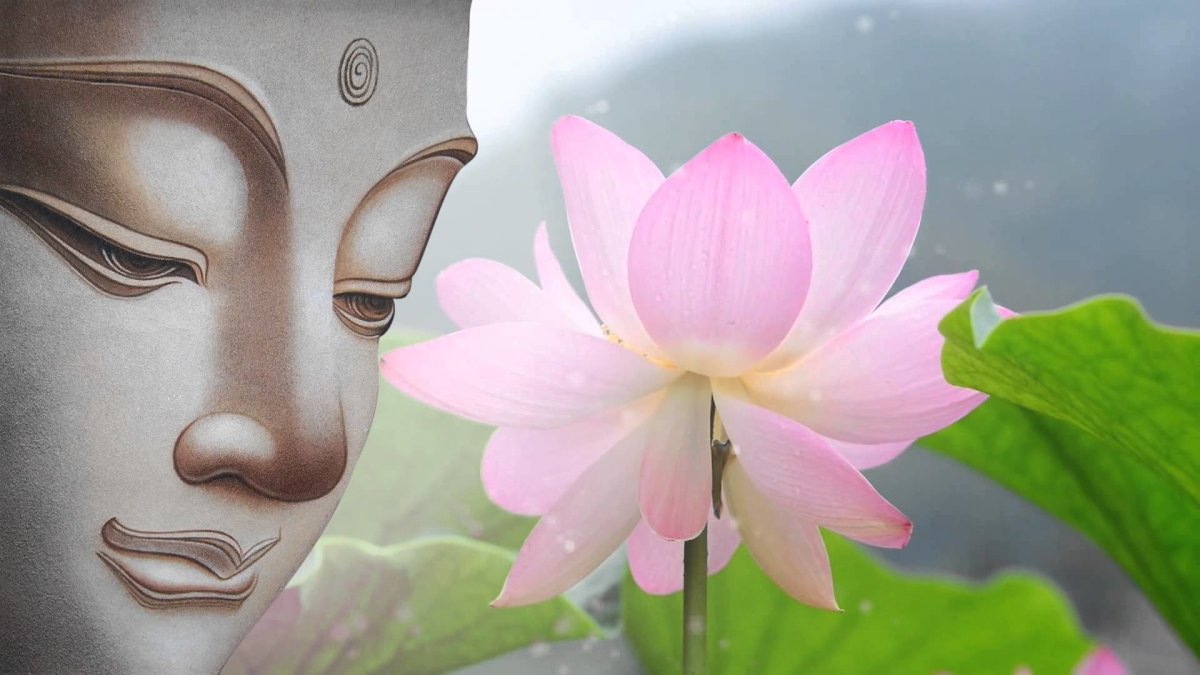 Цветок лотоса буддизм