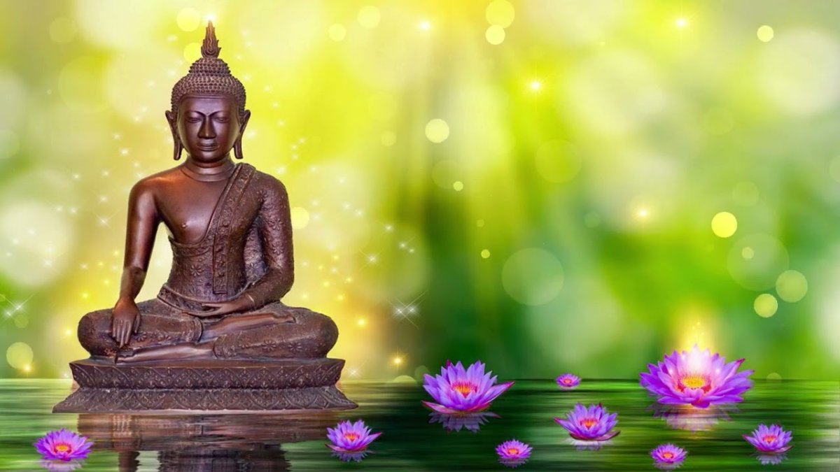 Будда Шакьямуни картинки Лотос