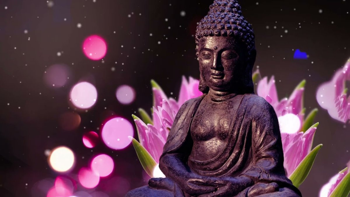 Красивые фото Будда Лотос