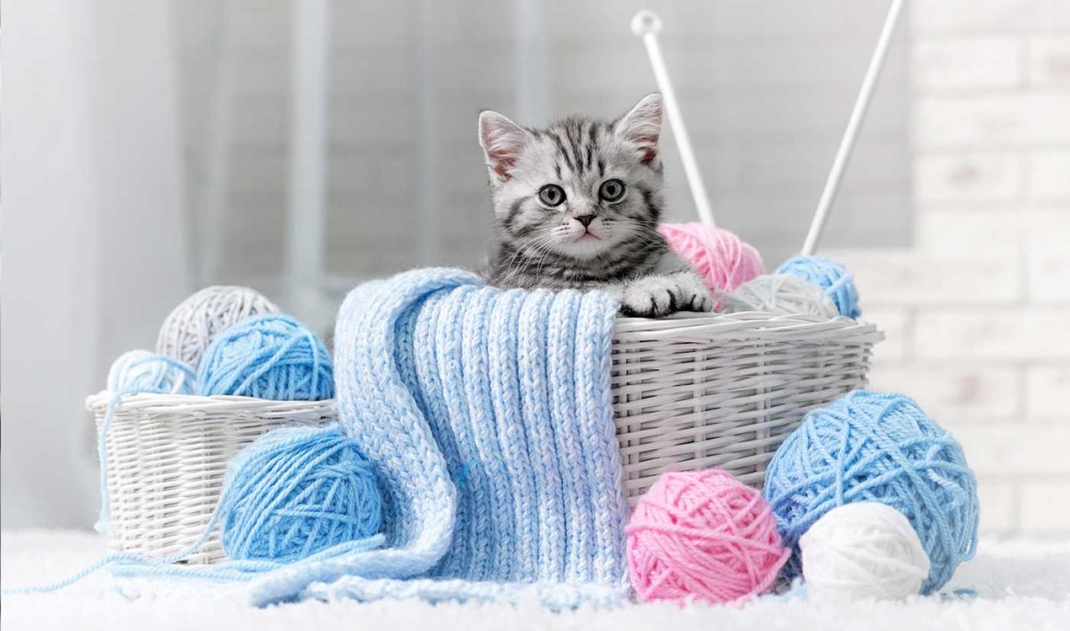 Фон спиц и клубка