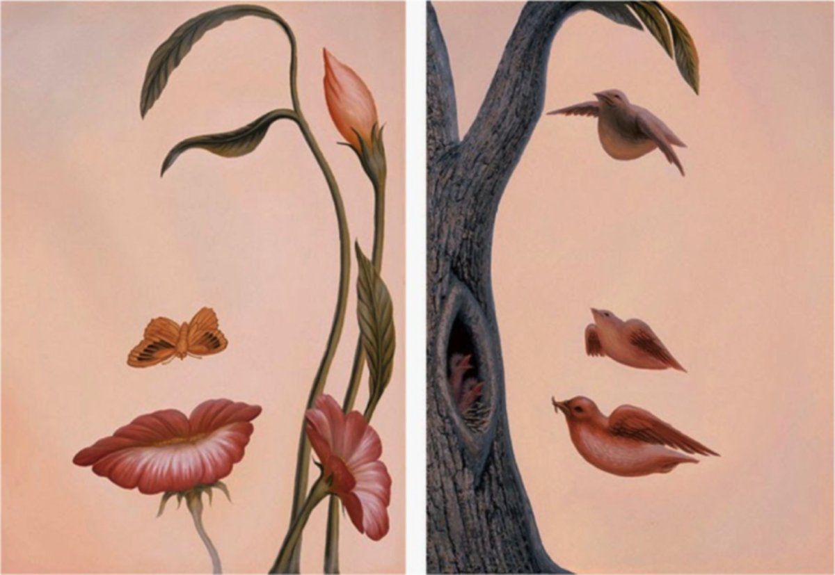 Оптические иллюзии Октавио Окампо