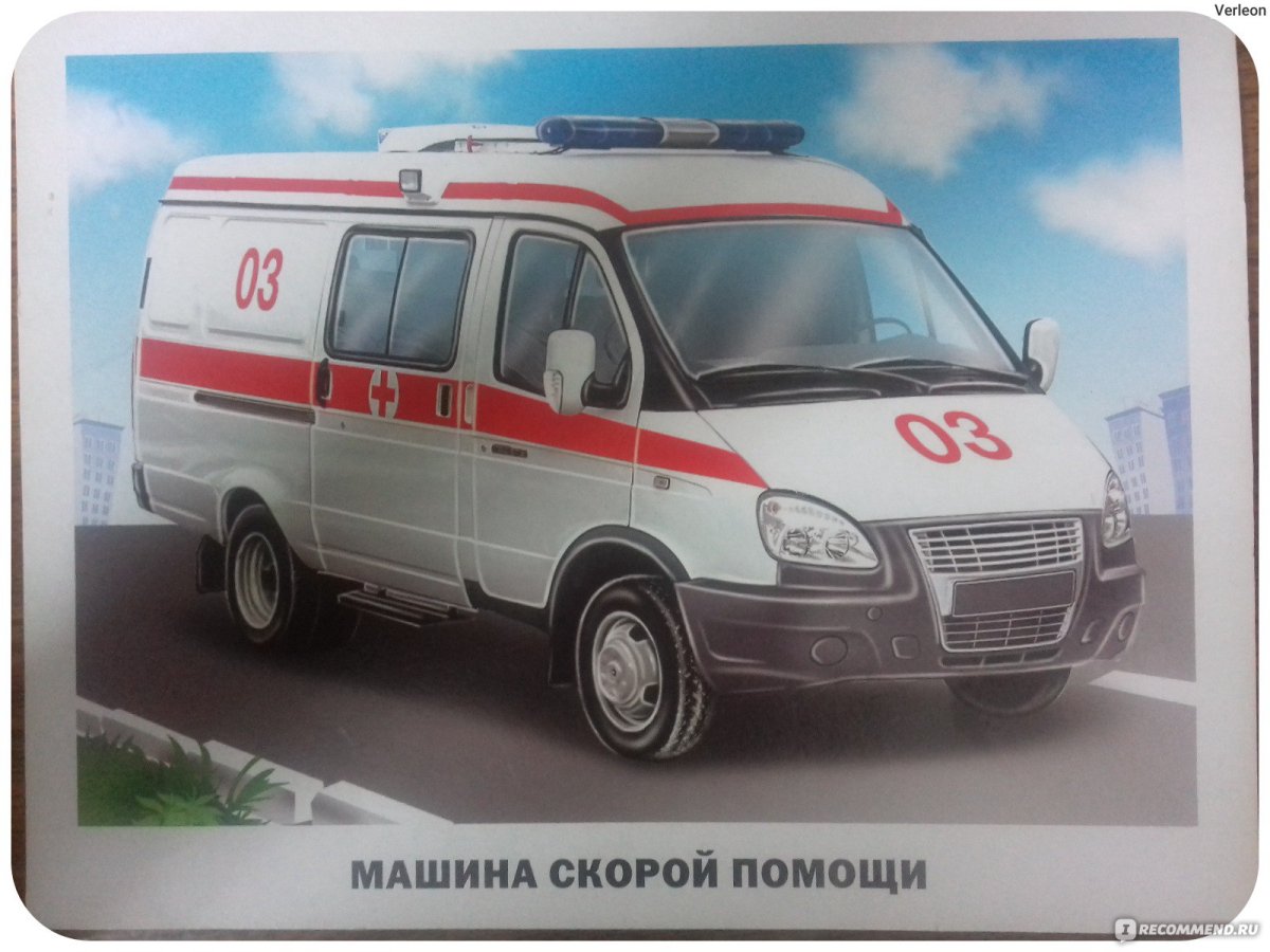 Виды транспорта картинки