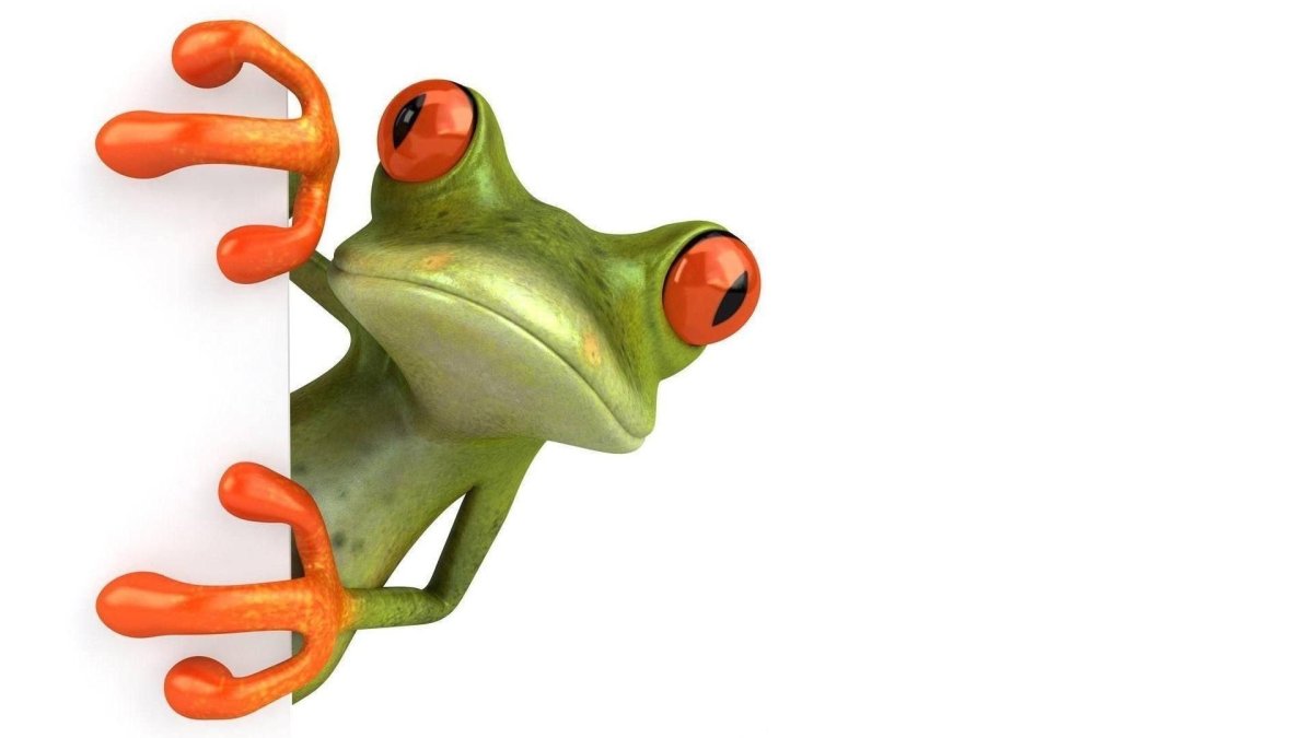 Картинки на белом фоне прикольные