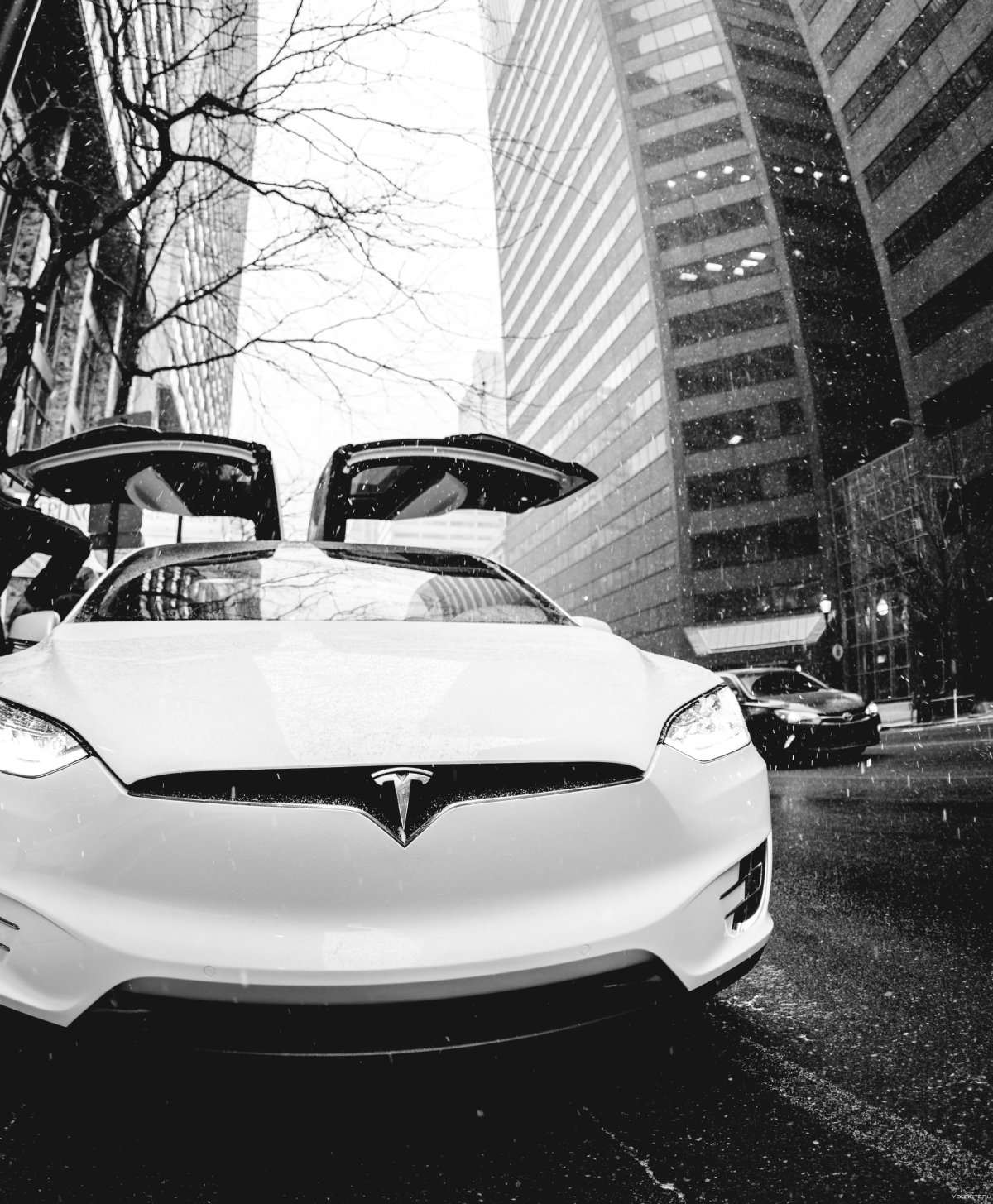 Машина чёрно белая