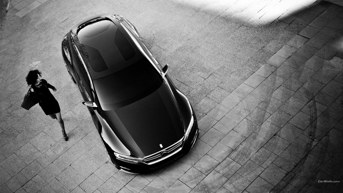 Машины в черно белом цвете