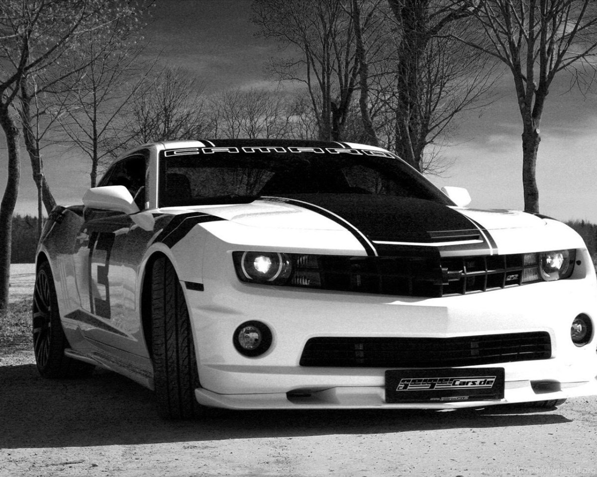 Chevrolet Camaro черно белая