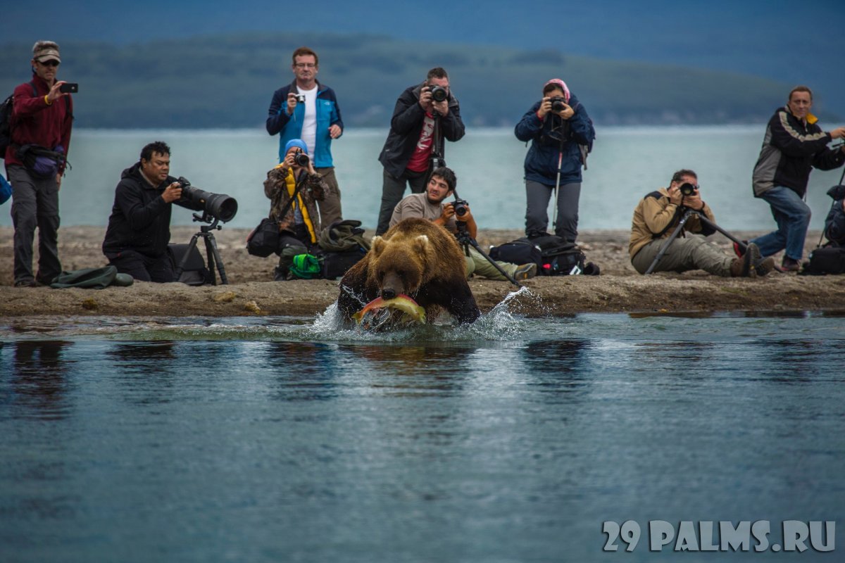 Охота и рыбалка арт