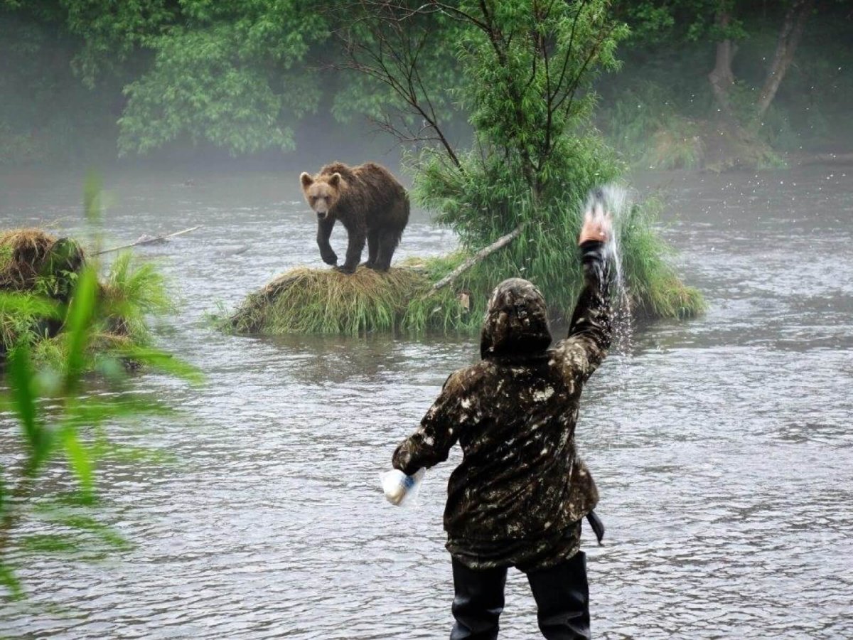 Камчатский Гризли
