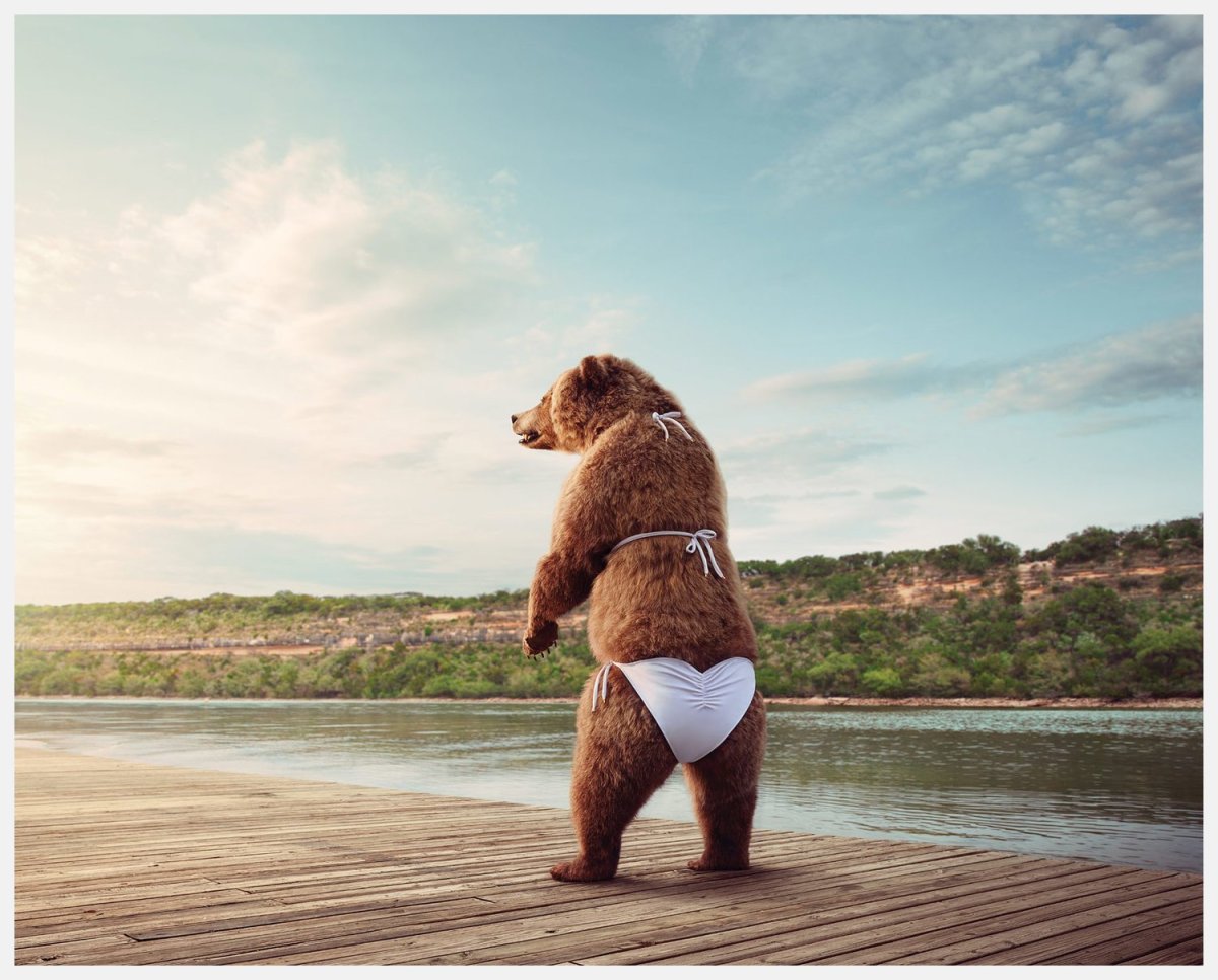 Камчатка медведи на рыбалке