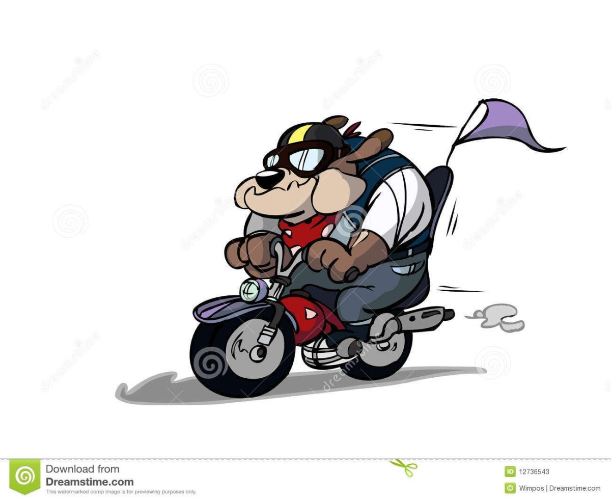 Лис на мотоцикле фурри