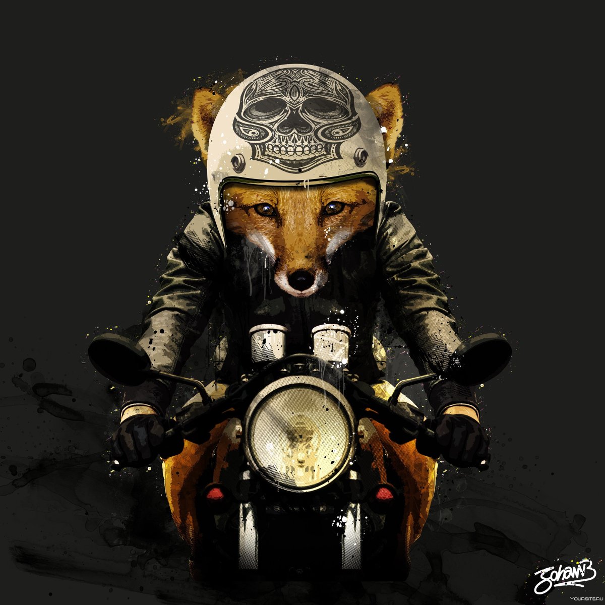 Собака в каске на мотоцикле