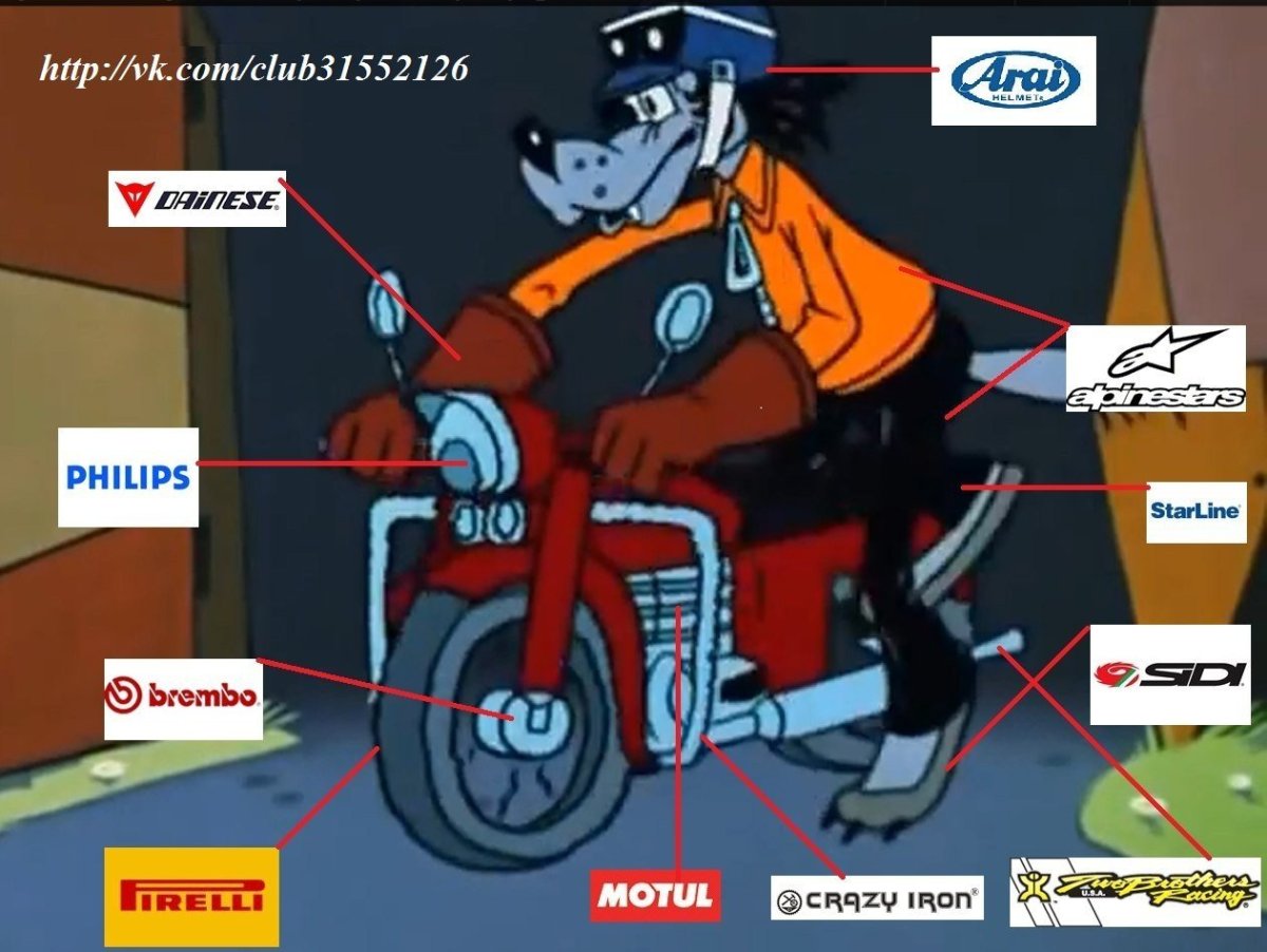 Лиса байкер