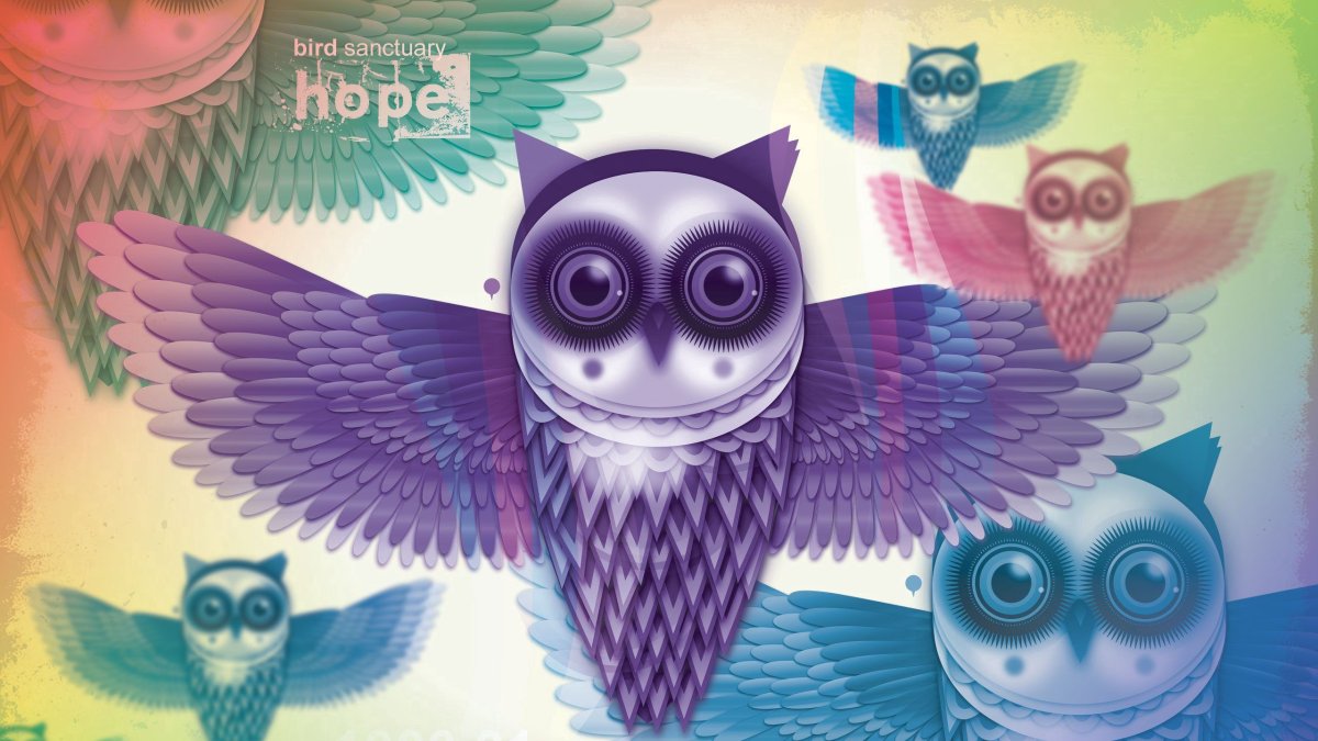 Фотообои Сова