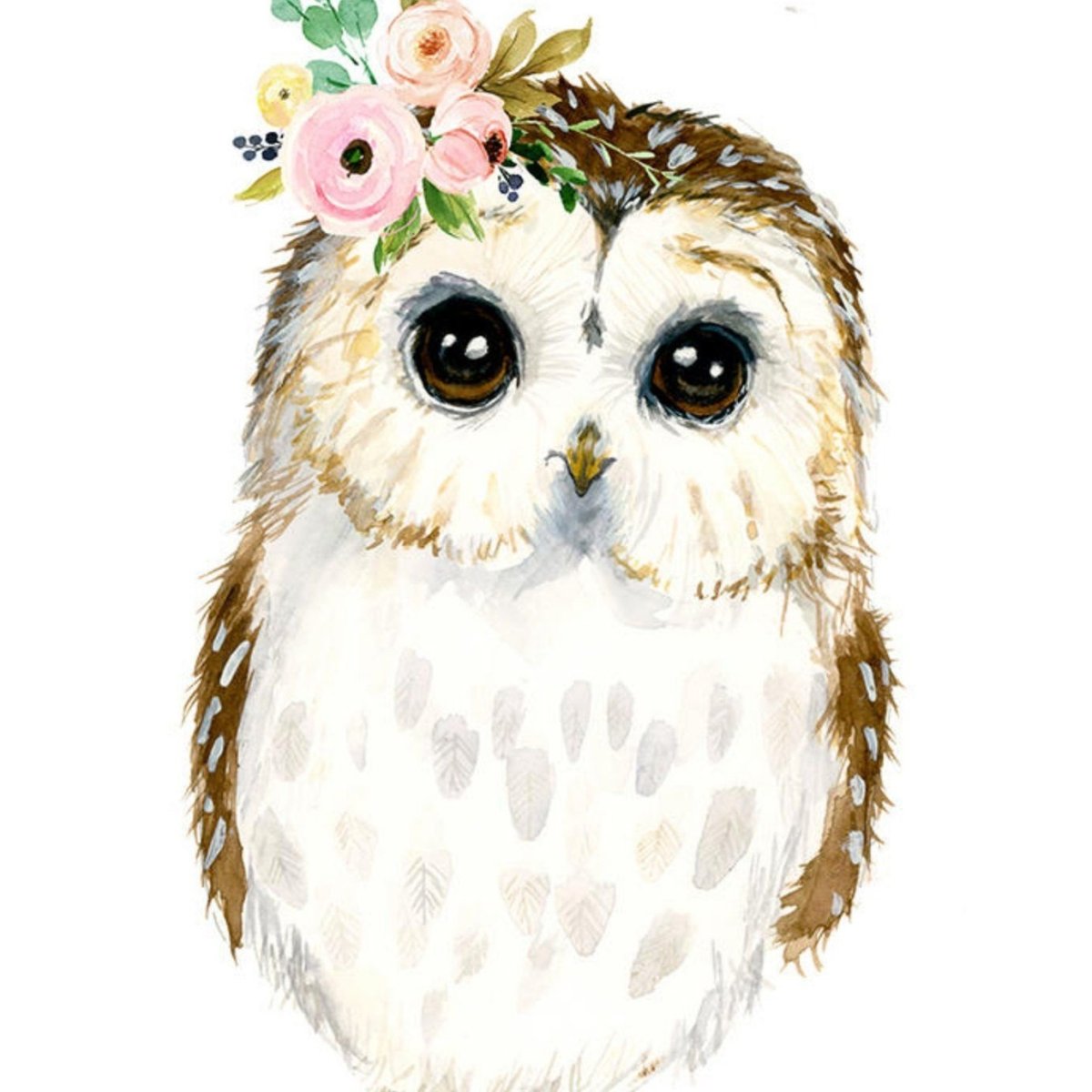 Совенок акварель