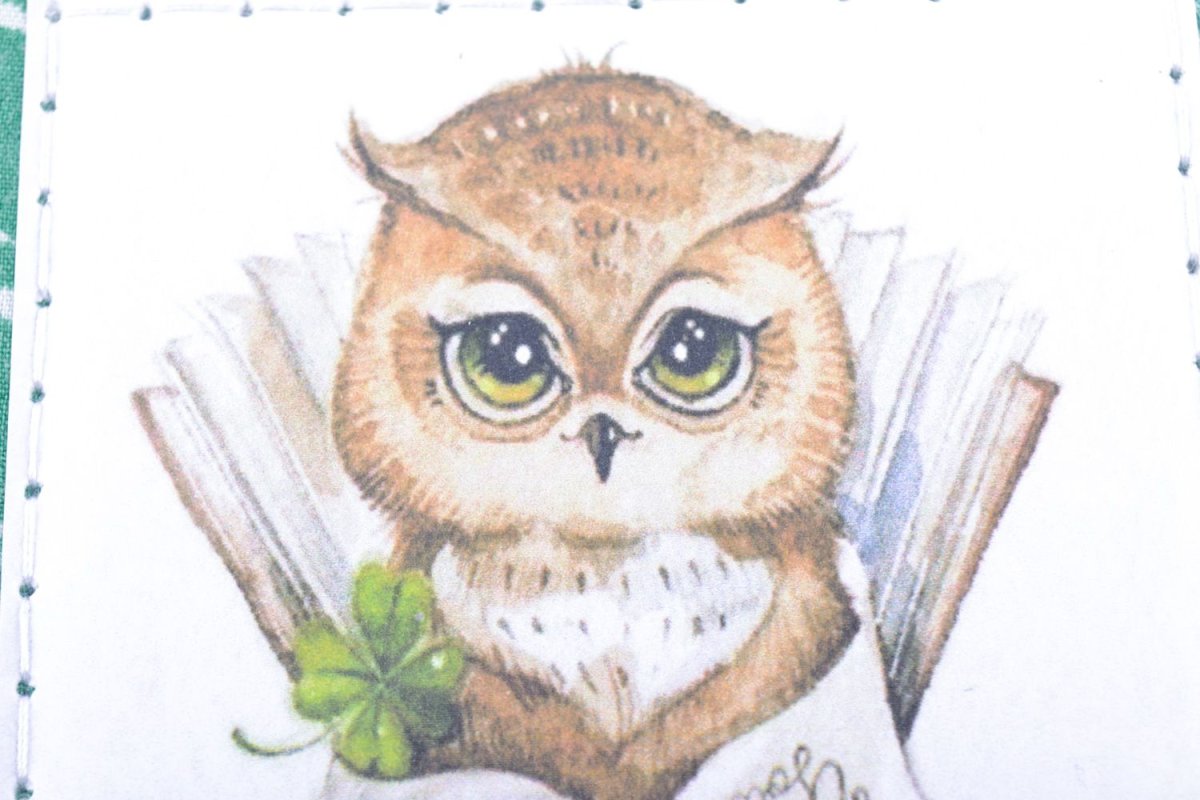 Совушки школа