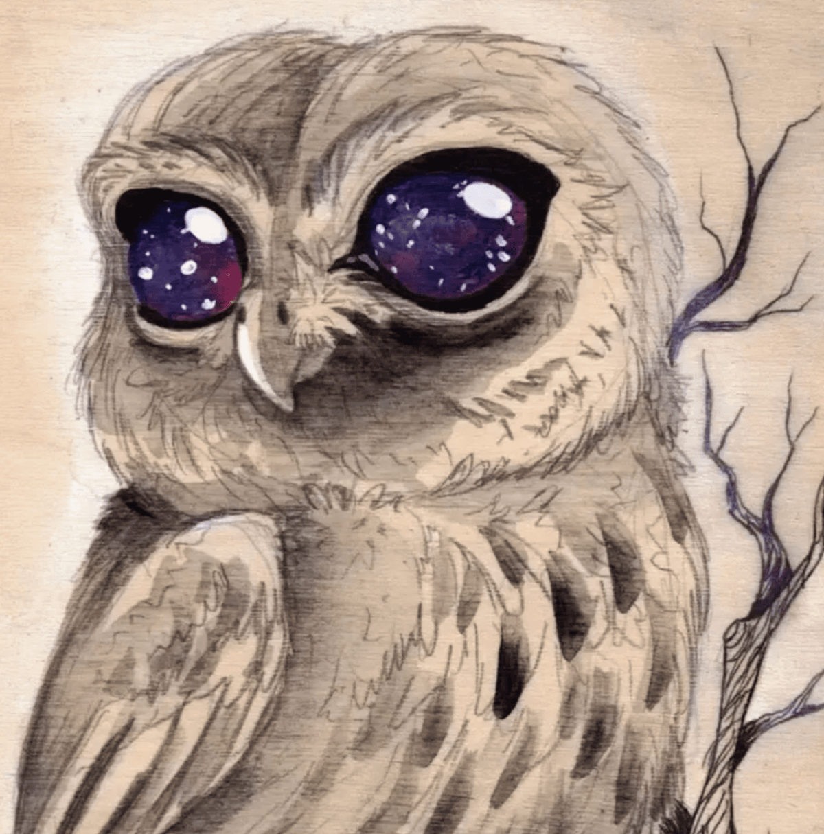 Инга Пальцер Совы