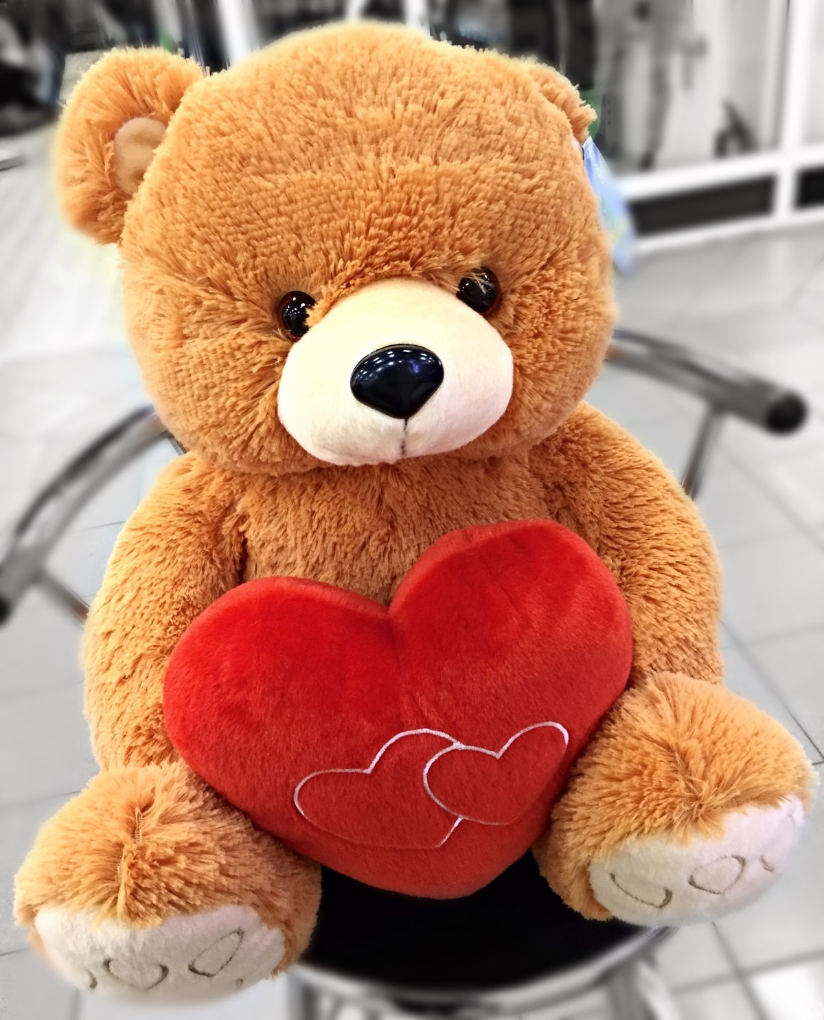 Красивые мишки