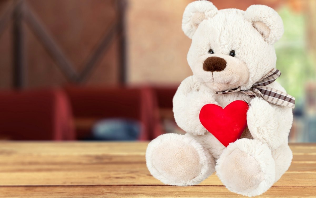 Красивые мишки