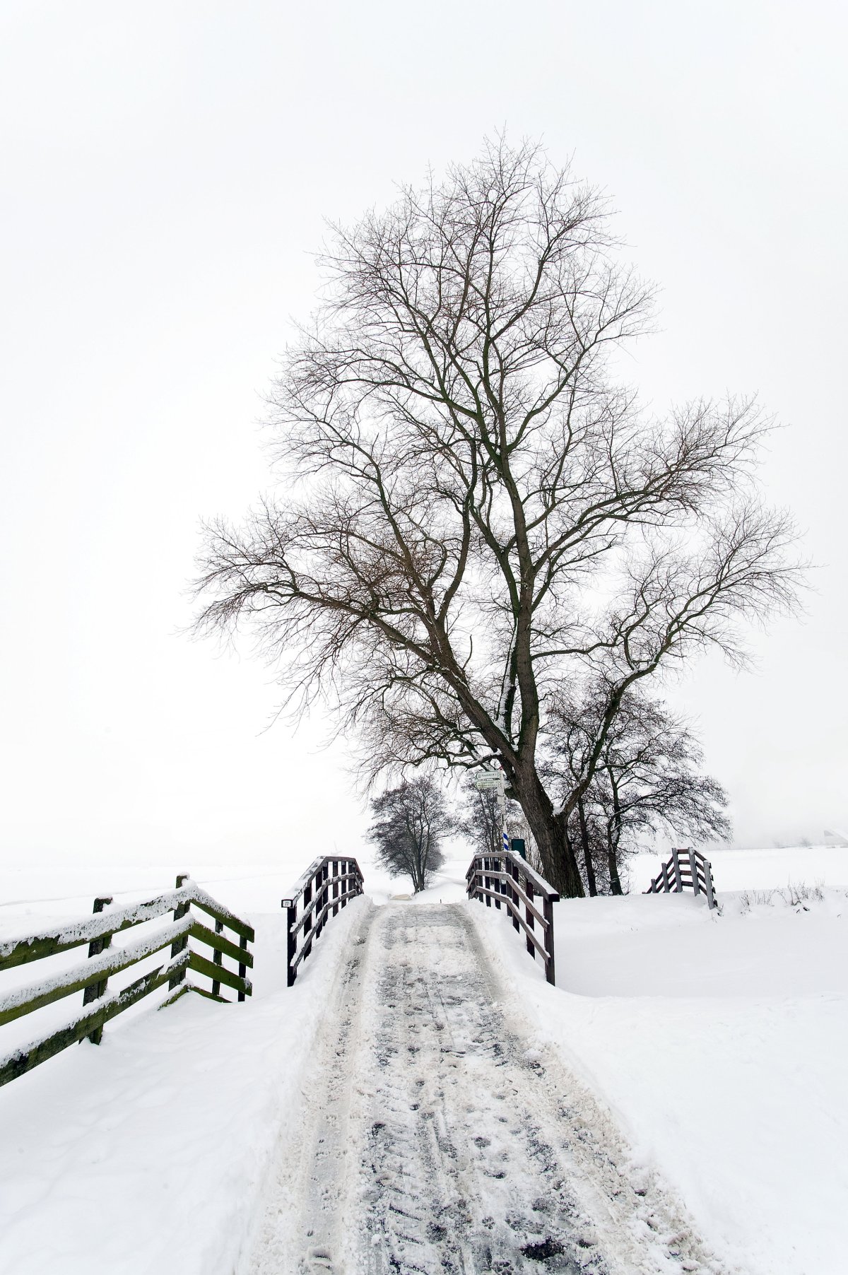 Черно белая зима