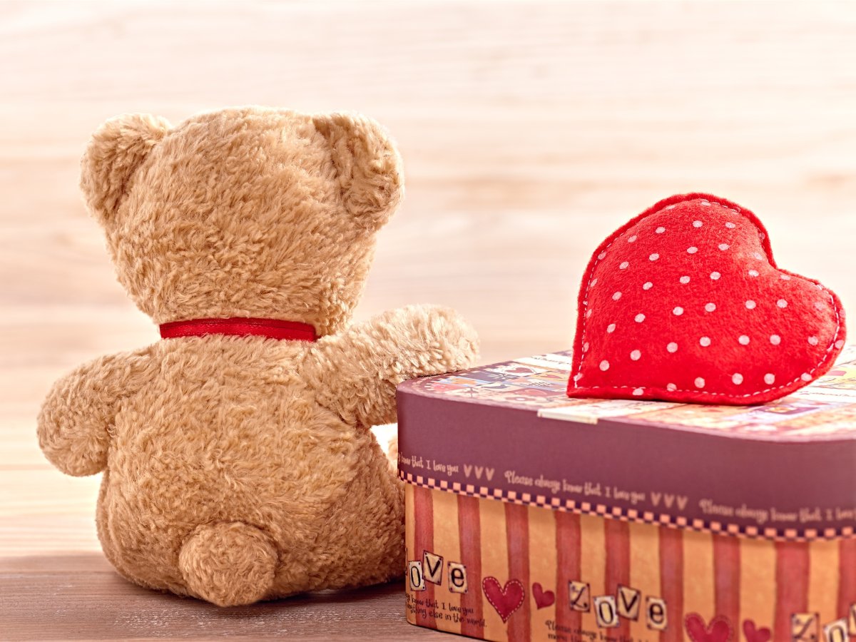 Плюшевый мишка