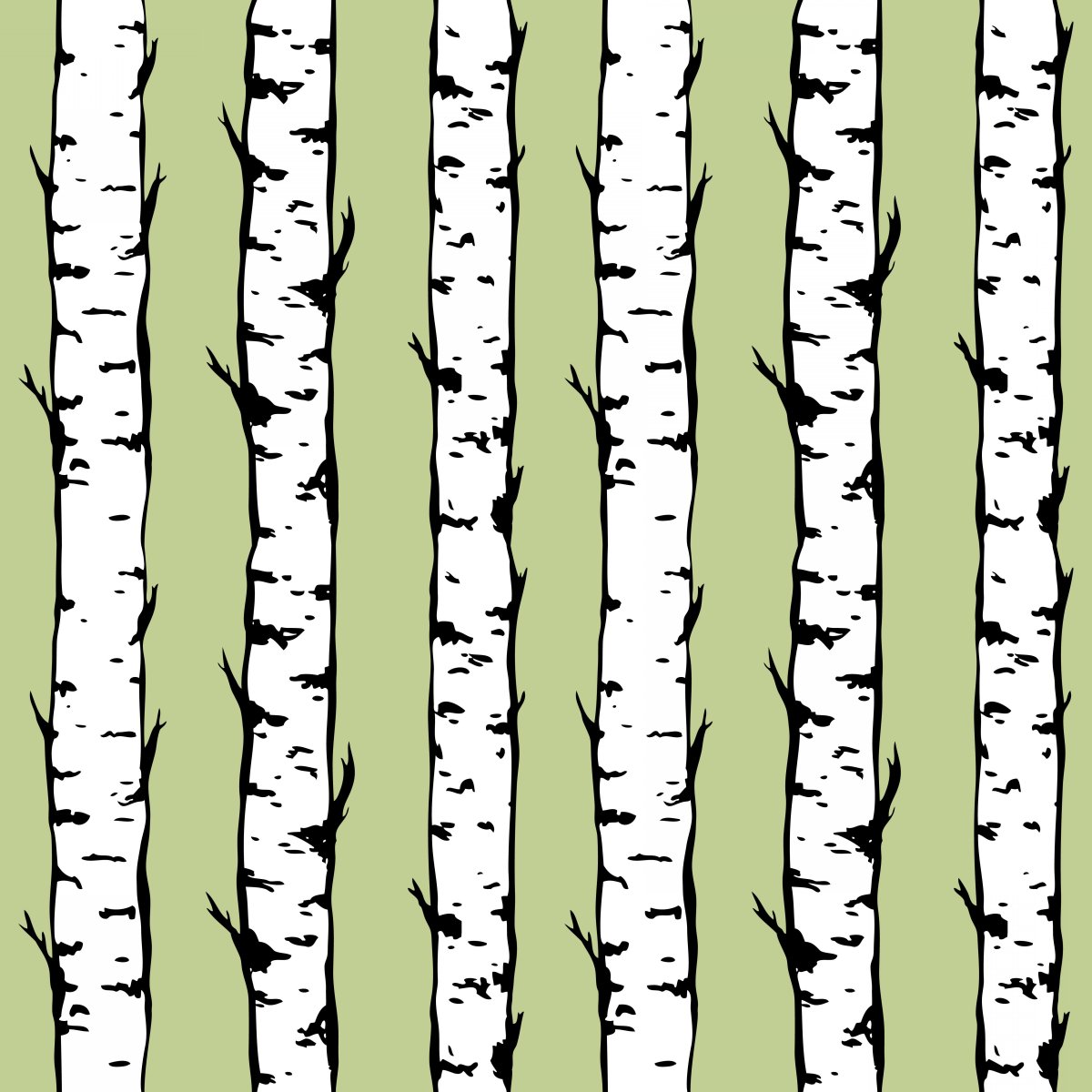 Ствол березы на прозрачном фоне