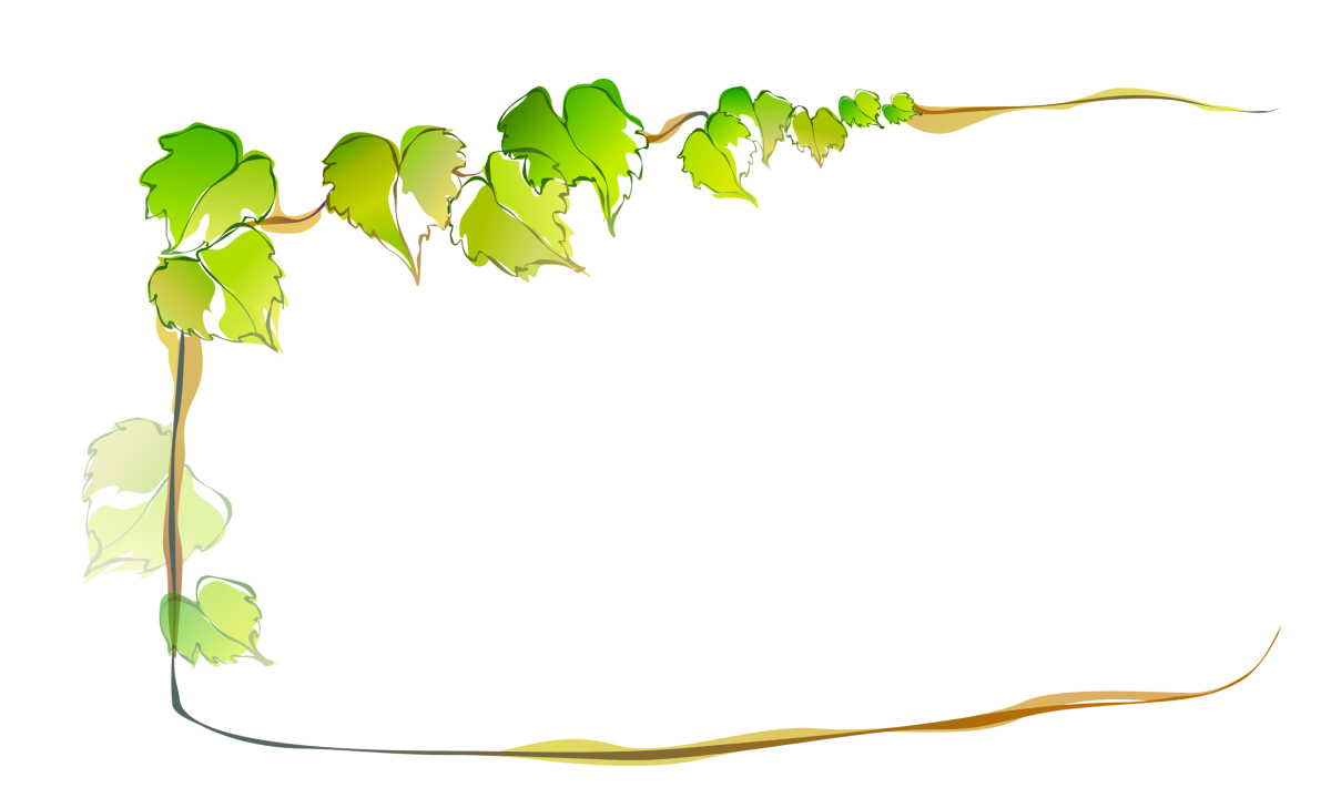 Рамка с березовыми листочками