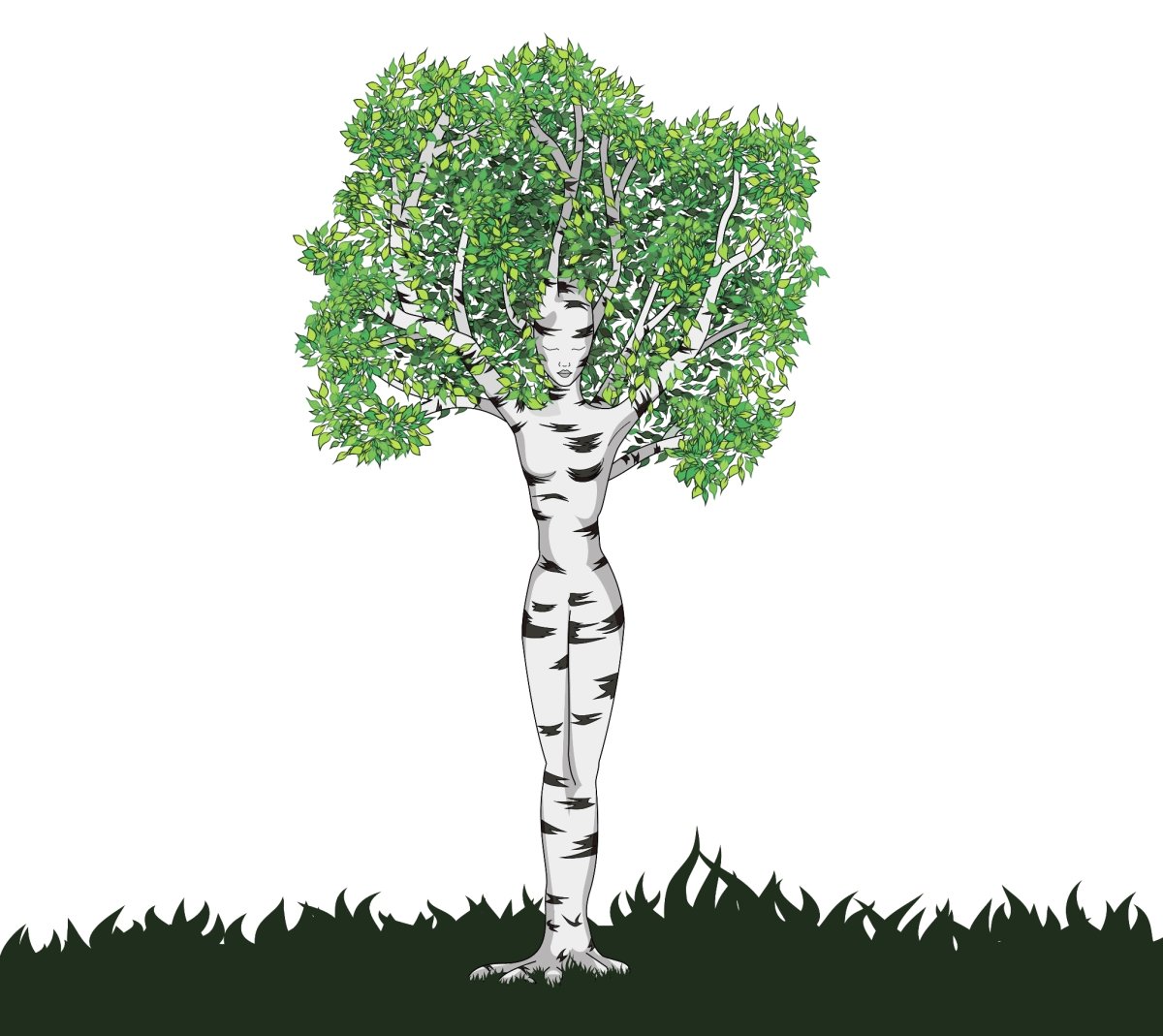 Береза в виде девушки