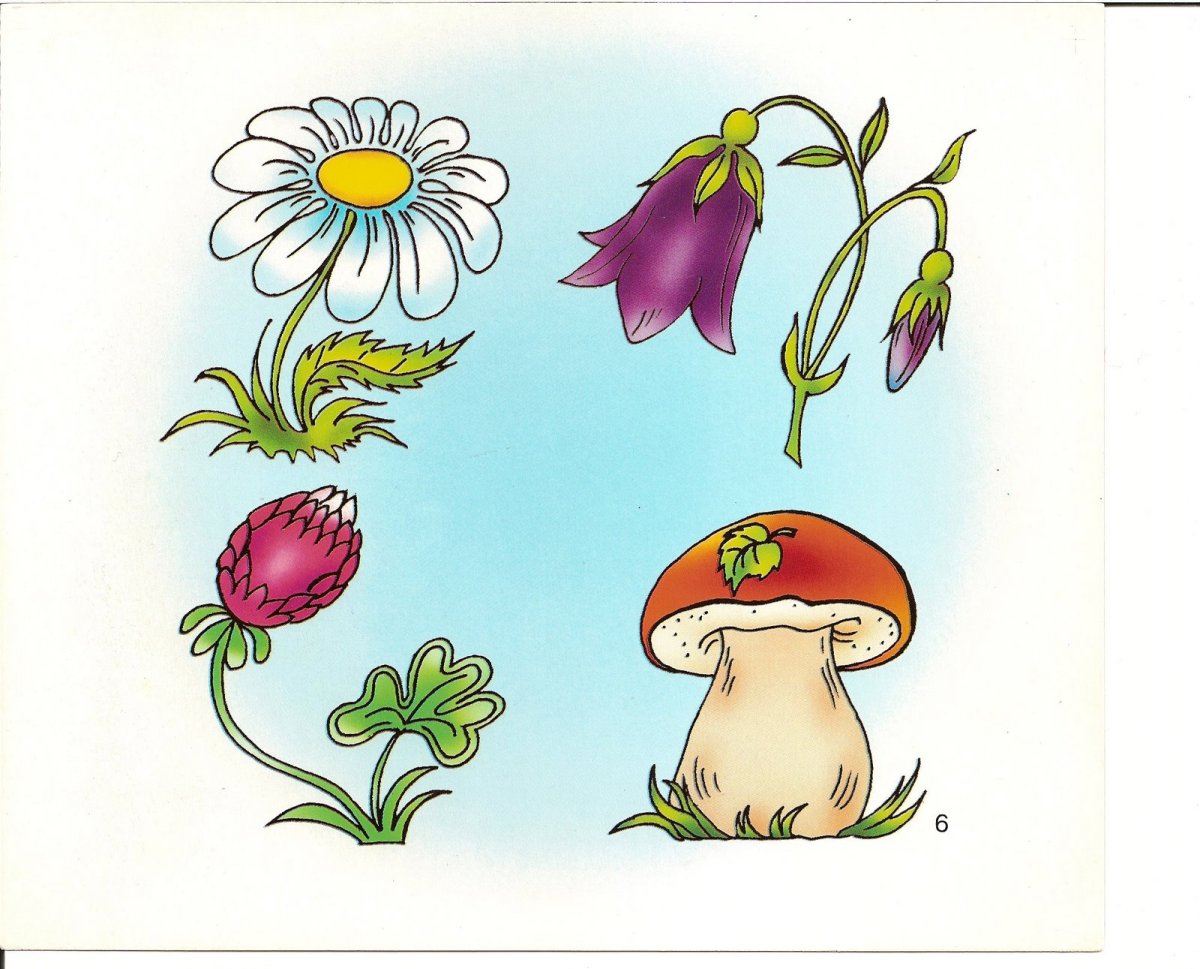 Найди лишнее для дошкольников