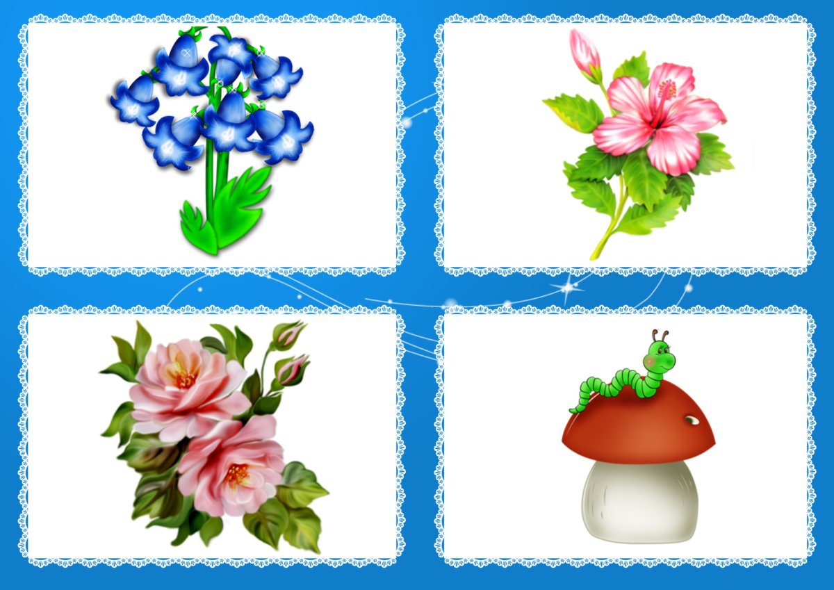 Четвертый лишний задания для дошкольников