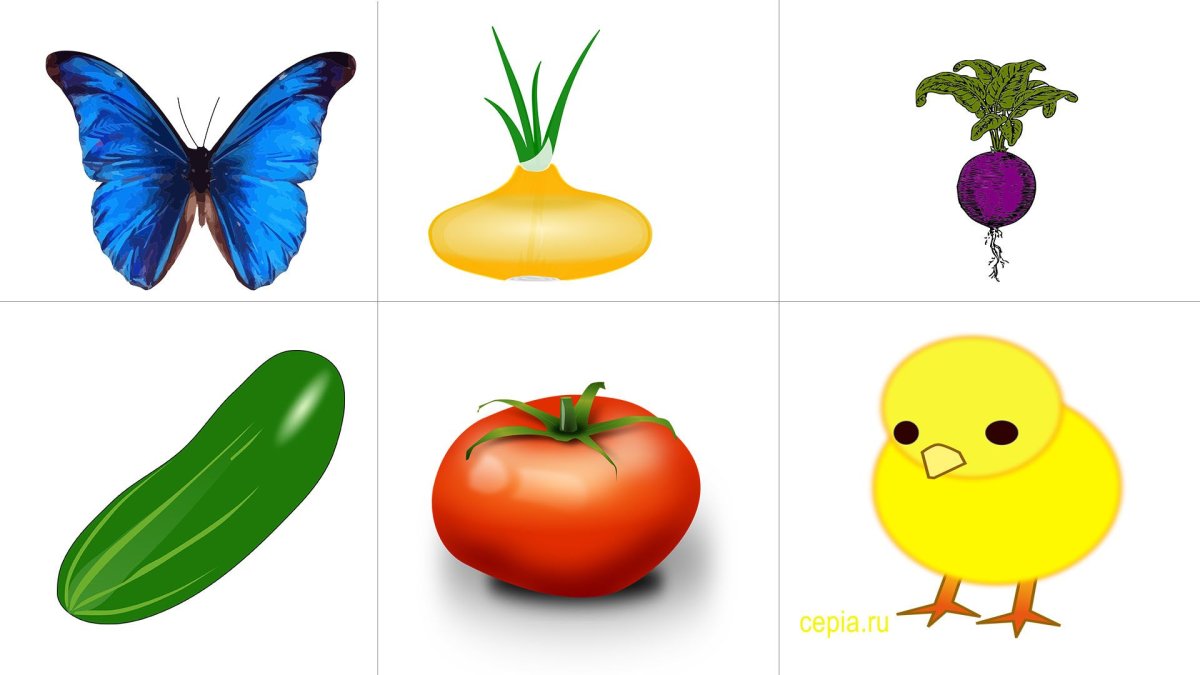 Карточки четвертый лишний