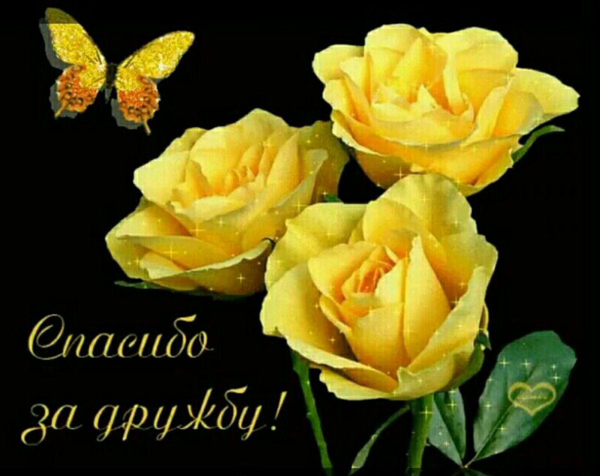 Цветы для дорогой подружки