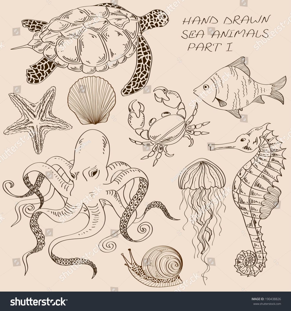 Скетч морские обитатели
