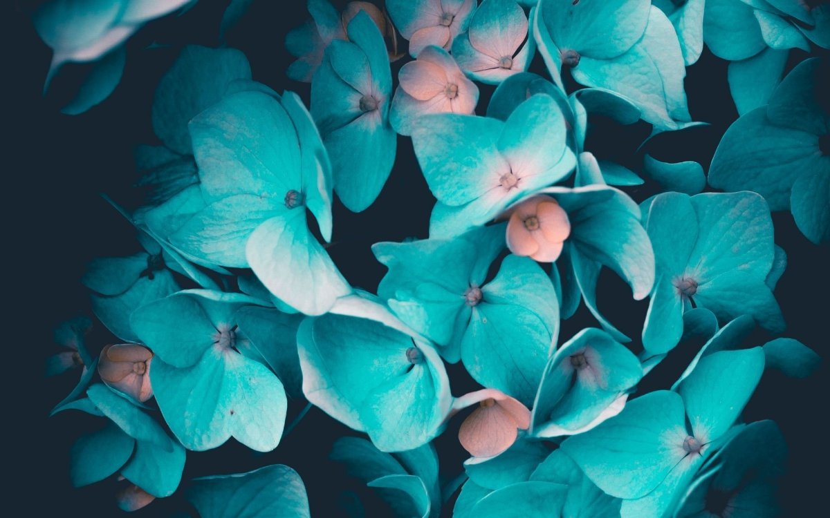 Эстетичные обои в голубом цвете