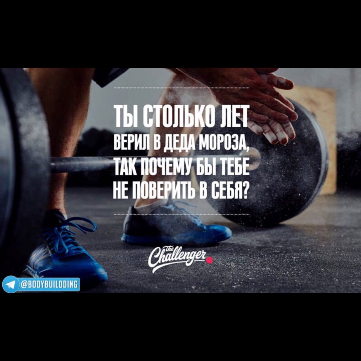 Спортивные цитаты