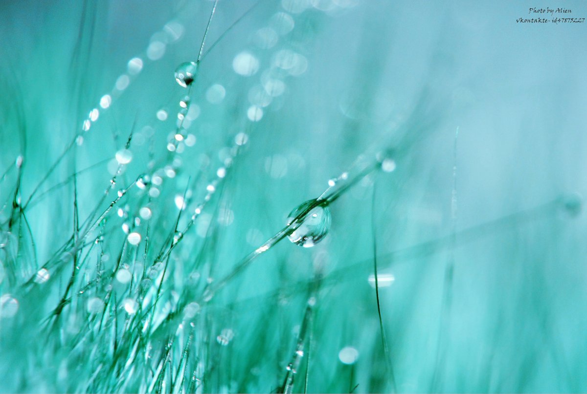 Бирюзовая Весна