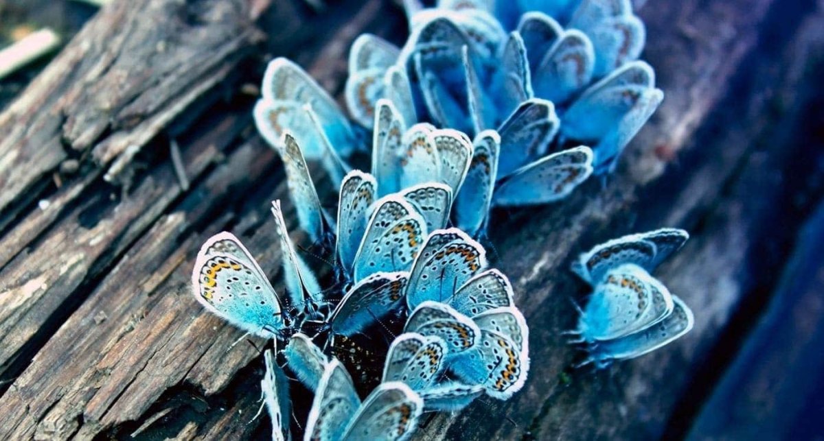 Капли на бирюзовом фоне