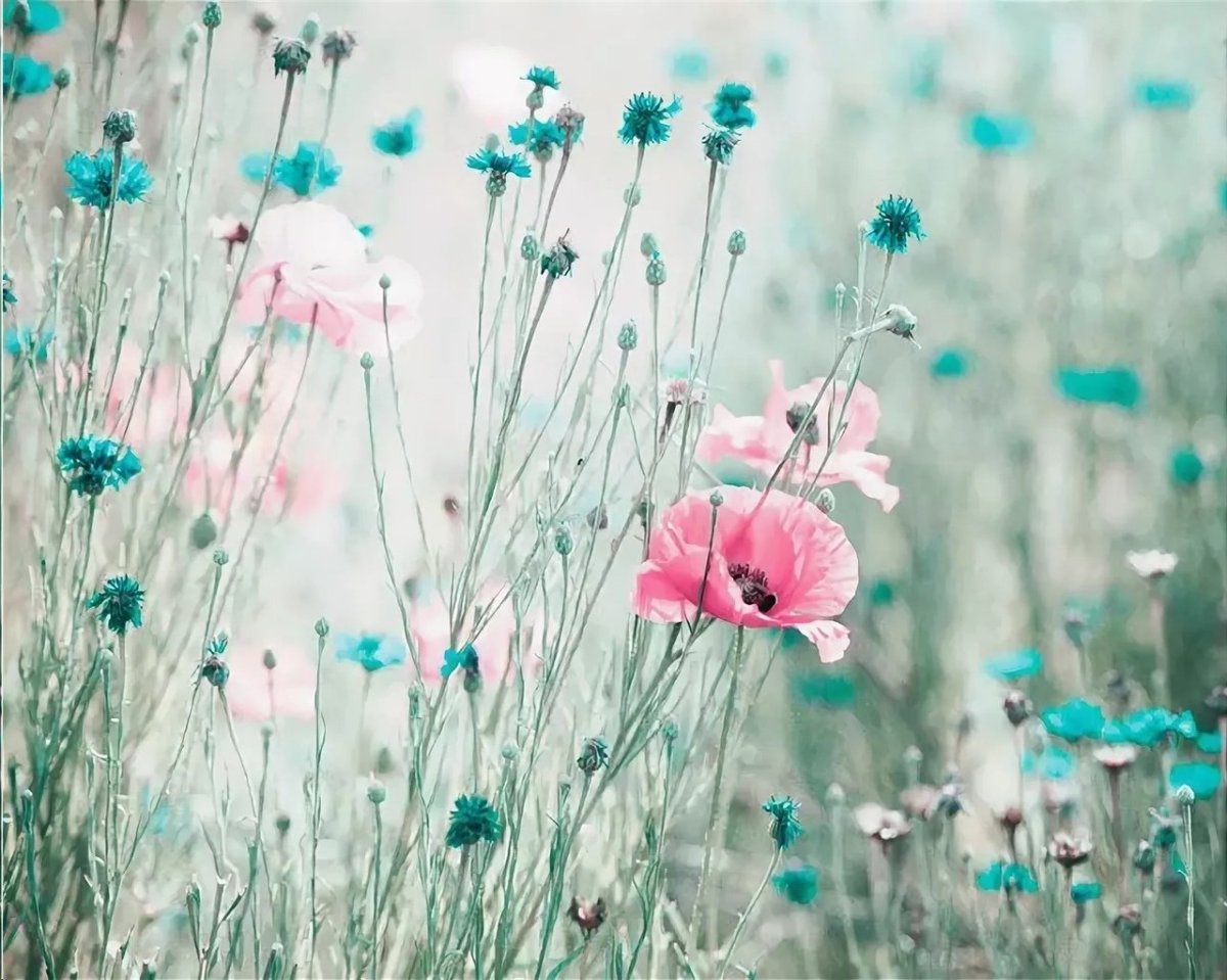 Бирюзовые обои