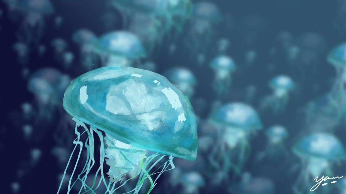 Макаронс Тиффани