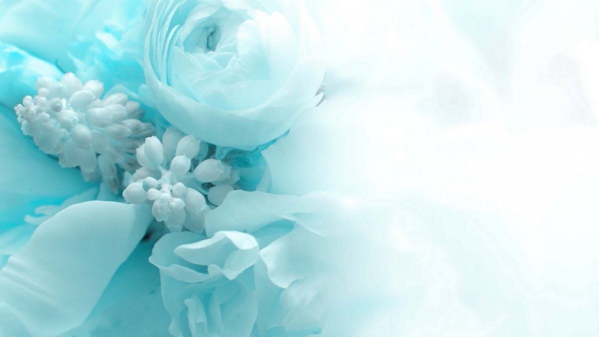 Бирюзовая природа